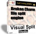 Screenshot for Visual Split Studio 6